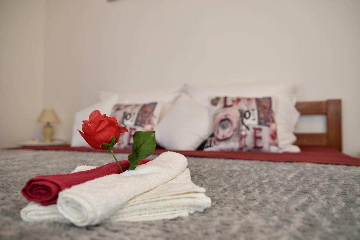 Apartment Antonio Zadar Dış mekan fotoğraf